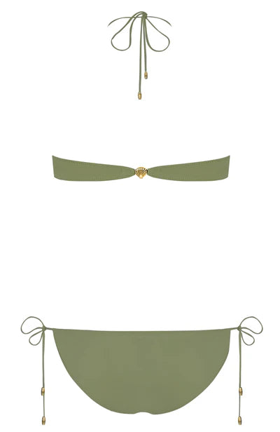 no.26 fern
